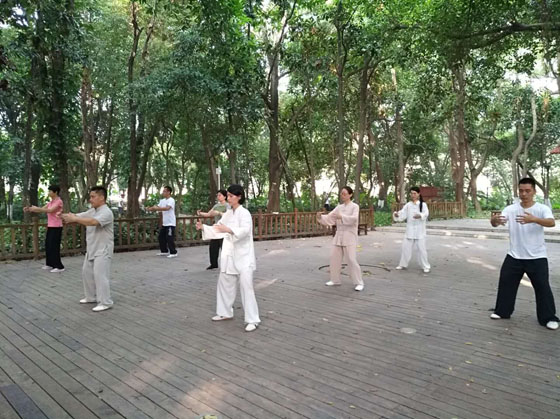 芳草园(早班7：00~9：00)太极拳教学周一至周五